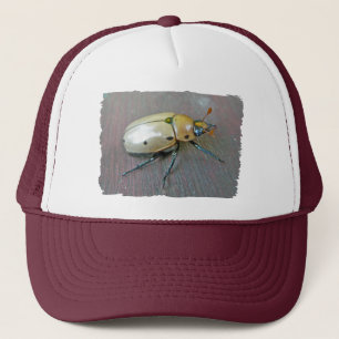 Grapevine Beetle (Pelidnota punctata) Series Keps