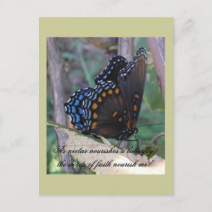 Grapevine Butterfly w/Verse Vykort