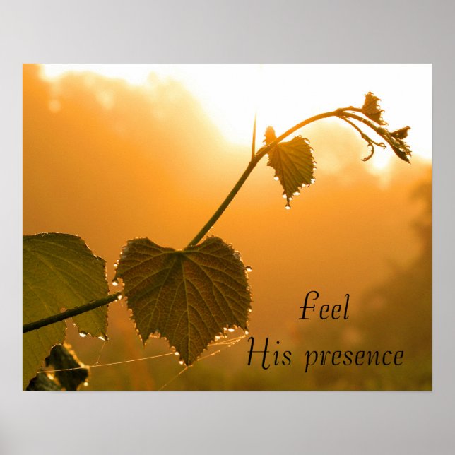 Grapevine & Dewdrops at Sunrise-inspirational Poster (Framsidan)