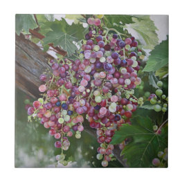 Grapevine Glory - Hyperrealistiska Vineyard Art fo Kakelplatta