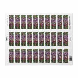 Grapevine Glory - Hyperrealistiska Vineyard Art fo Returadress Etikett