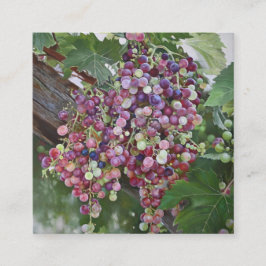 Grapevine Glory - Hyperrealistiska Vineyard Art fo Tilläggskort