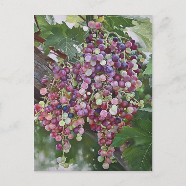 Grapevine Glory - Hyperrealistiska Vineyard Art fo Vykort (Framsida)