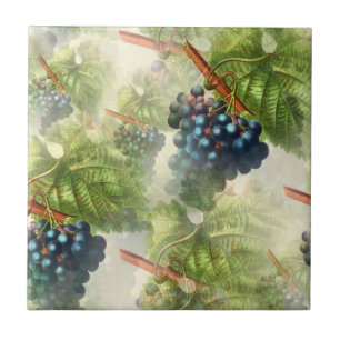 Grapevine Kakelplatta