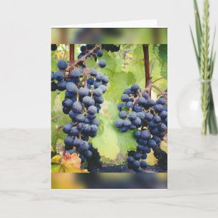 Grapevine Note Card<Blank Inside> Tack Kort
