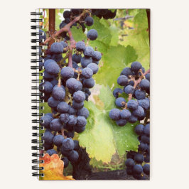 Grapevine Notebook (hårddiskskydd)