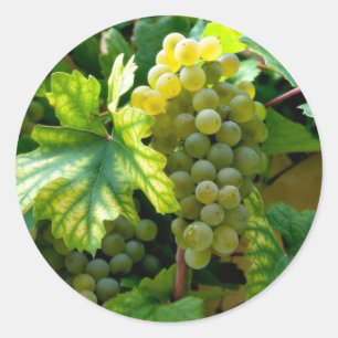 Grapevine Runt Klistermärke
