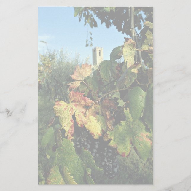 Grapevine, Toskana, Italien Brevpapper (Framsida)