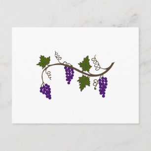 GRAPEVINE VYKORT