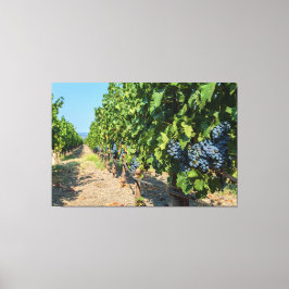 Grapeviner Canvastryck