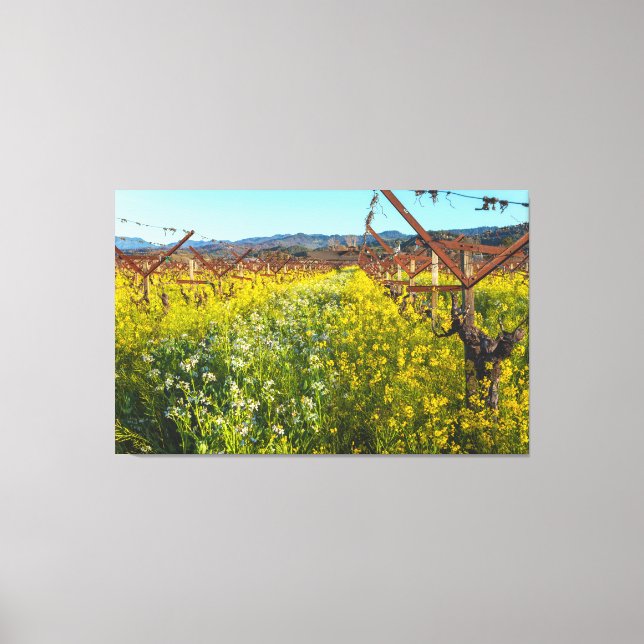 Grapeviner och Senap Flowers Canvastryck (Framsida)
