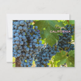 Grapeviner Vykort