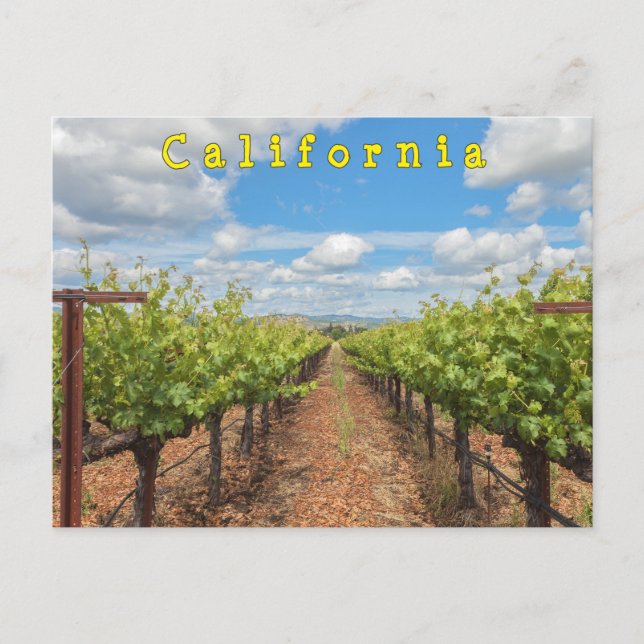 Grapeviner Vykort (Framsida)