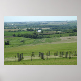 Grapevines Vin Vineyard Photography Poster