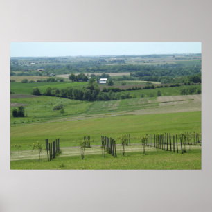 Grapevines Vin Vineyard Photography Poster