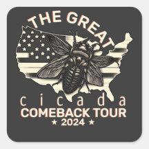 Graphic Cicada Comeback Tour 2024 Design