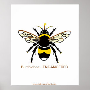 Graphic Humla - Endangered -Wildlife - nature Poster