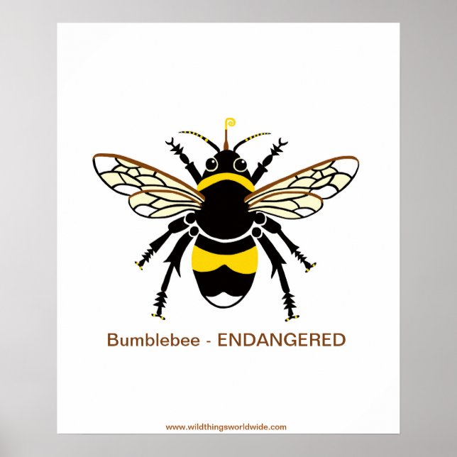 Graphic Humla - Endangered -Wildlife - nature Poster (Framsidan)