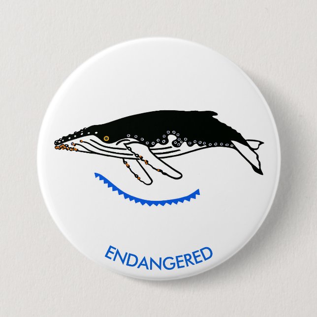 Graphic - Humpback WHALE - Wildlife - Nature- Knapp (Framsida)
