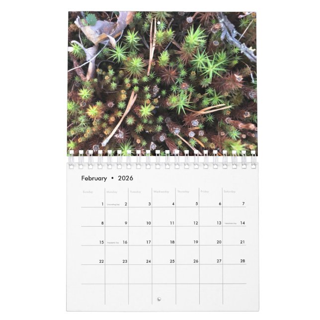 Graphic photo calendar kalender (Feb 2026)