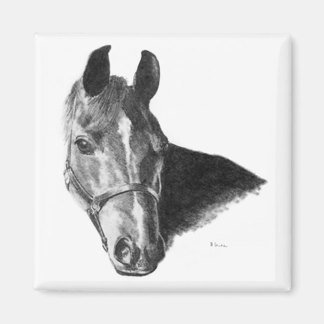Graphite Horse Head Magnet (Framsidan)