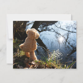 Grappige beer die ondeugend plast. magnetisk inbjudningskort