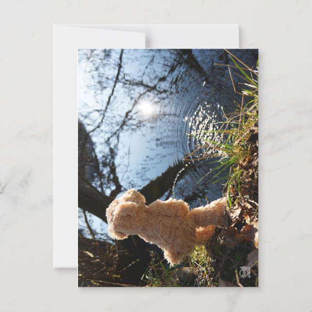 Grappige beer die ondeugend plast. magnetisk inbjudningskort (Framsida)