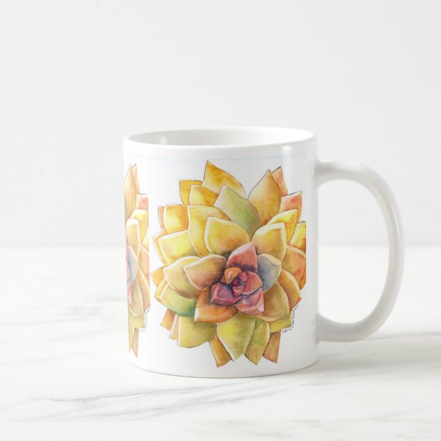 Graptopetalum kaffemugg (Höger)