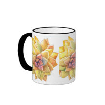 Graptopetalum kaffemugg