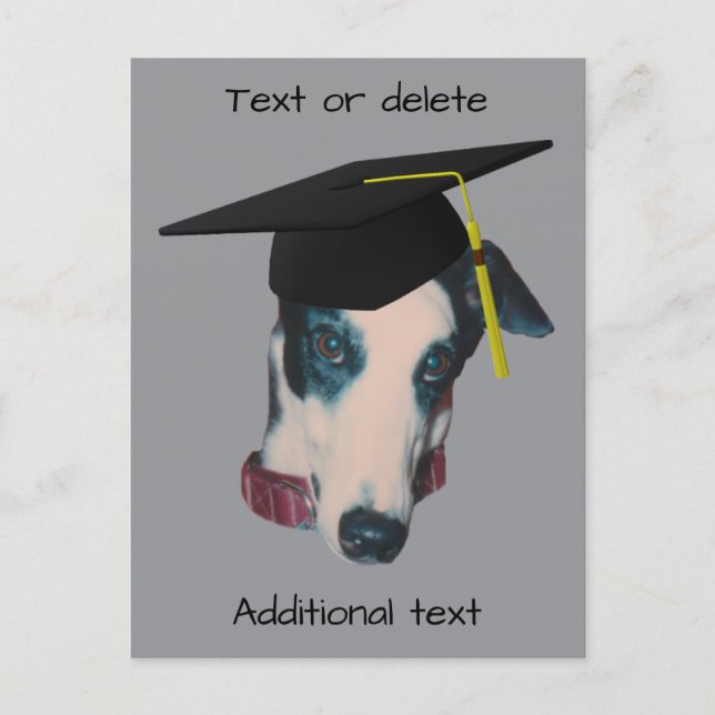 Grårhund i examenshatt Rolig hund Personlig Meddelande Vykort (Framsida)