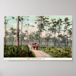 Gräs Barrens of Florida Poster