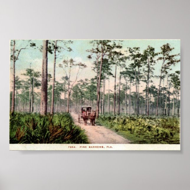 Gräs Barrens of Florida Poster (Framsidan)