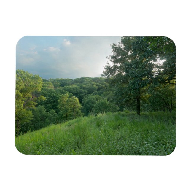 Gräs Bend Bluff Overlook Valley Woodlands Magnet (Horisontell)