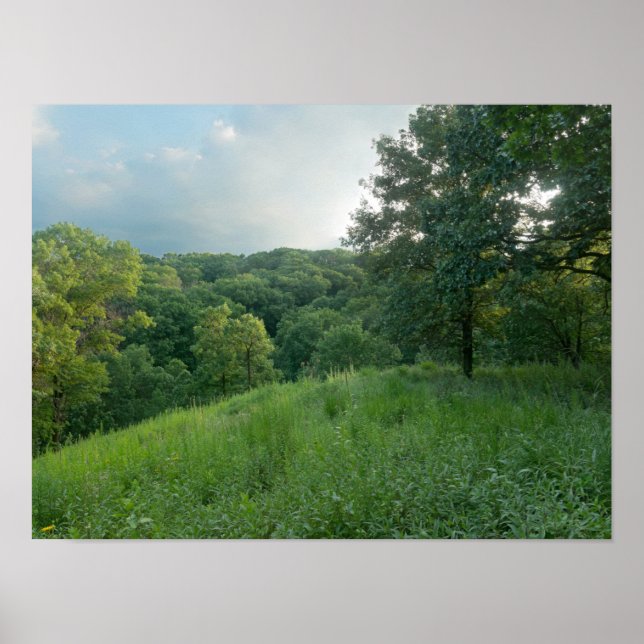 Gräs Bend Bluff Overlook Valley Woodlands Poster (Framsidan)