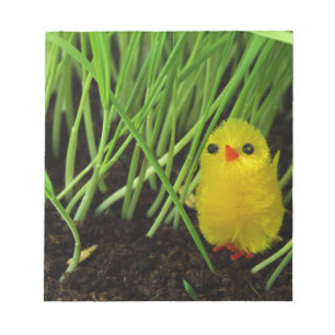 gräs chick anteckningsblock