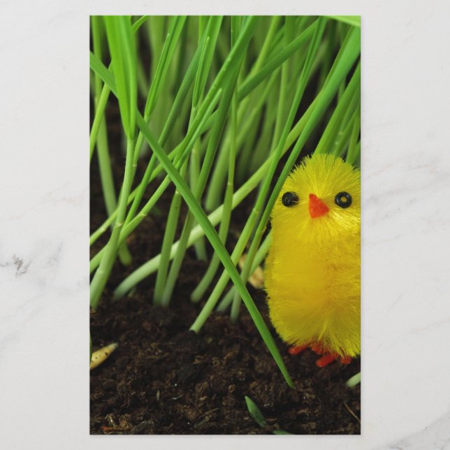 gräs chick brevpapper (Framsida)