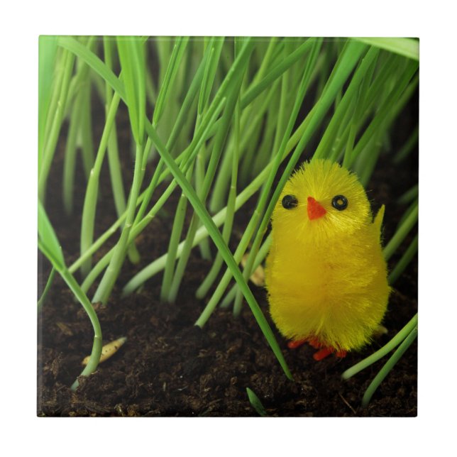 gräs chick kakelplatta (Framsidan)