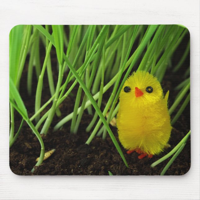 gräs chick musmatta (Framsidan)