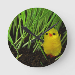 gräs chick rund klocka