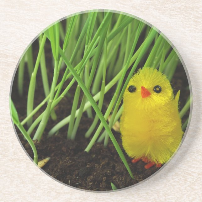 gräs chick underlägg sandsten (Framsidan)