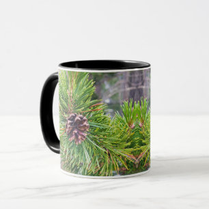 Gräs Cone från Lodgepole Gräs Mugg