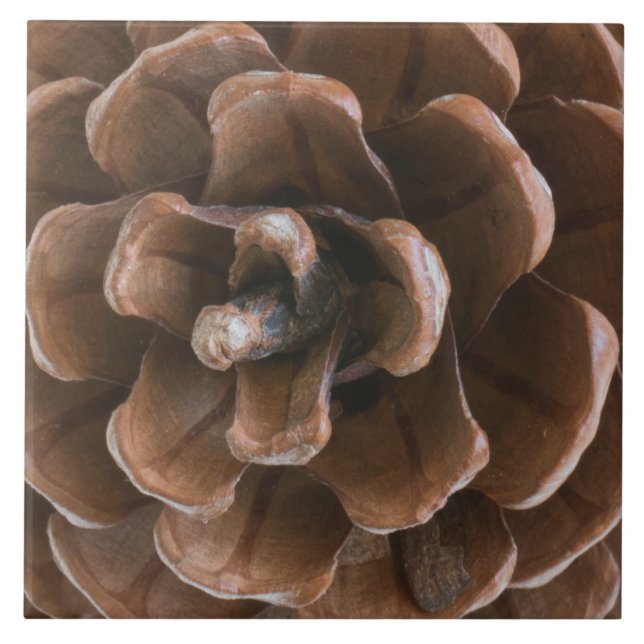 Gräs cone kakelplatta (Framsidan)