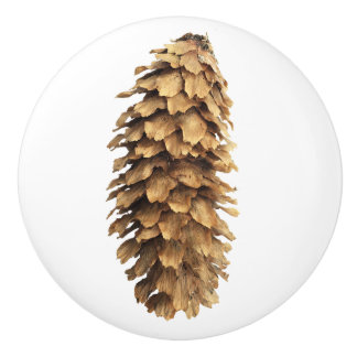 Gräs cone knopp