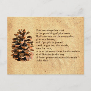 Gräs Cone och John Muir Quote Vykort