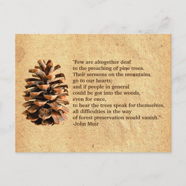 Gräs Cone och John Muir Quote Vykort (Framsida)