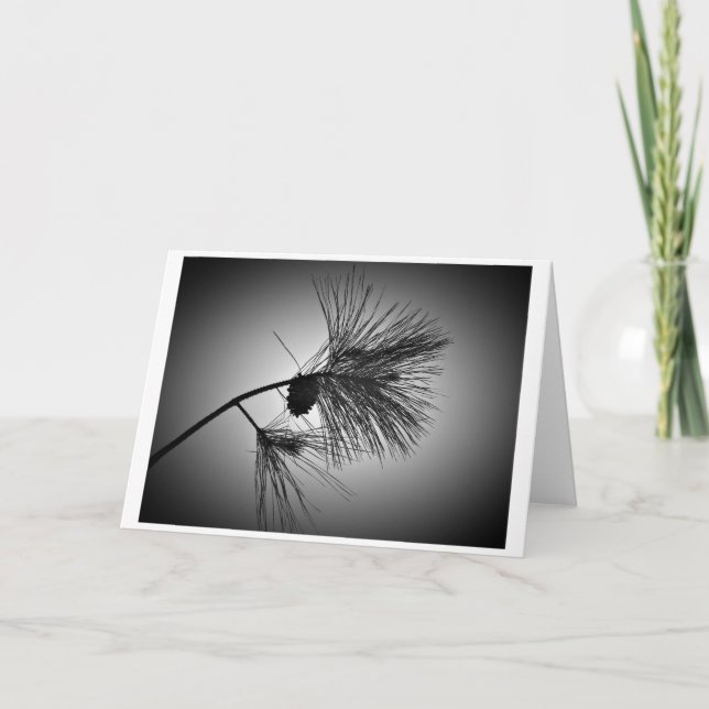 Gräs Cone on Gren - Noir, kort (Framsida)