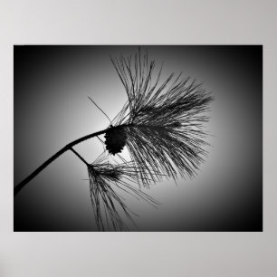 Gräs Cone on Gren-Noir Poster