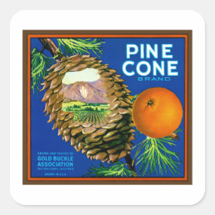 Gräs Cone-Orangar Fyrkantigt Klistermärke
