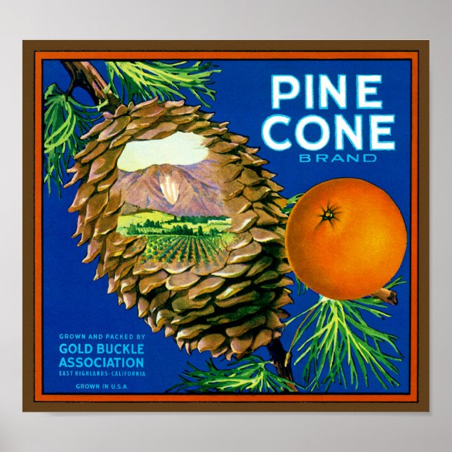 Gräs Cone-Orangar Poster (Framsidan)