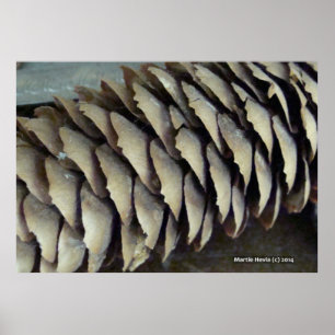 Gräs Cone Poster